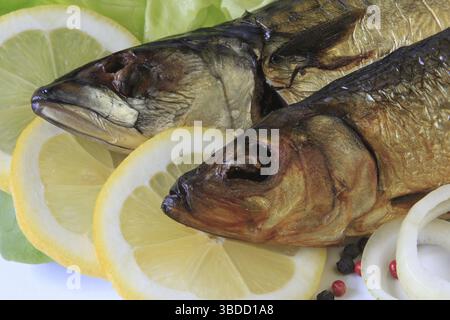 Teste di due pesci affumicati su fette di limone Foto Stock