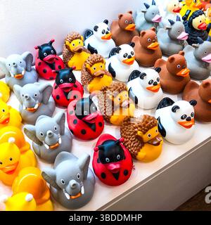 Mostra di anatre da bagno nel Paris Duck Store - Montmartre, Paris 75018, Francia. Foto Stock