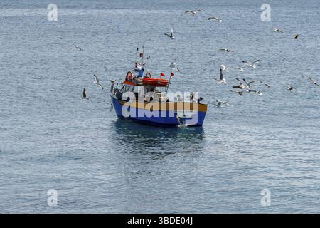Peniche, Portogallo - 2 aprile 2022: Gabbiani che combattono sul pesce sopra una piccola barca da pesca al largo della costa portoghese Foto Stock