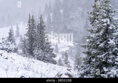 (250524) -- ZAGABRIA, 24 maggio 2025 (Xinhua) -- questa foto mostra una nevicata nel Parco nazionale Velebit settentrionale, Croazia, il 23 maggio 2025. (Hrvoje Kostelac/PIXSELL via Xinhua) Foto Stock