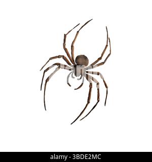 Un ragno mutante nero con gambe sottili e mandibole. Illustrazione acquerello. L'insetto è aracnide, isolato su sfondo bianco. Per Halloween e.. Foto Stock