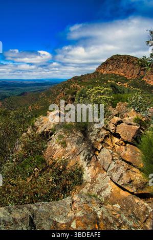 Vista dall'escursione sul St Mary Peak, Wilpena Pound, Flinders Ranges, Australia meridionale. Rocce erose ricoperte di licheni e vegetazione dell'entroterra Foto Stock