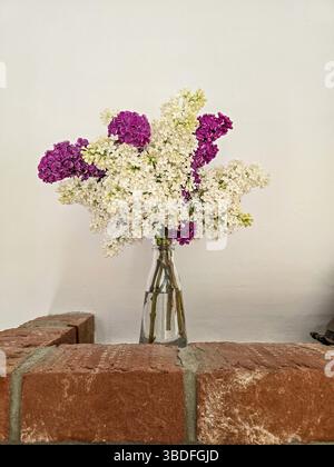 Decorazioni floreali lilla bianche e viola in vaso Foto Stock