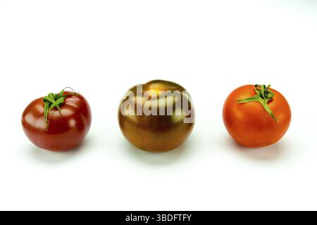 gustosi pomodori biologici colorati di diversi tipi isolati su uno sfondo bianco con spazio di copia Foto Stock