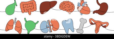 Gli organi impostano un disegno continuo a una linea colorata. Cuore, reni, cistifellea, intestino, dente, cervello, polmoni, stomaco, fegato, mano, osso, orecchio, vescica Illustrazione Vettoriale