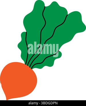 Barbabietola. Verdure biologiche fresche. Illustrazione vettoriale Illustrazione Vettoriale