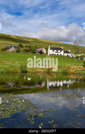 Fattoria Hill vicino a Laurieston a Dumfries e Galloway, Scozia. Foto Stock