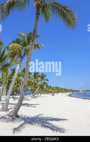 La sabbia bianca e fine di Smathers Beach, Key West, Florida. Smathers Beach è ad ovest chiave la spiaggia più lunga e si trova sull'Oceano Atlantico. Laborato Foto Stock