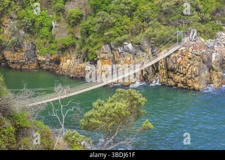 Il ponte sospeso sulla foce del fiume tempesta all'interno del Parco Nazionale di Tsitsikamma, Capo Orientale, vicino alla Baia di Plettenberg in Sud Africa. E' un impor Foto Stock