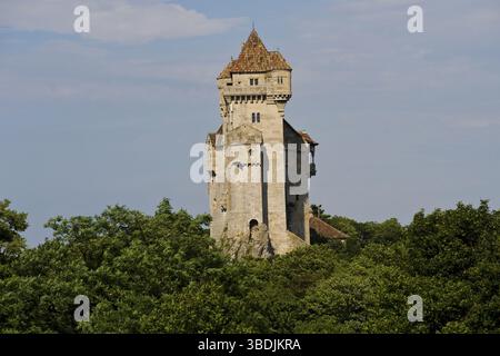 Castello del Liechtenstein, Maria Enzersdorf, vicino a Moedling, bassa Austria, Austria, Moedling, Europa Foto Stock