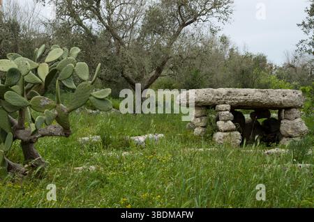 Dolmen li Scusi a Minervino, Lecce, Italia Foto Stock