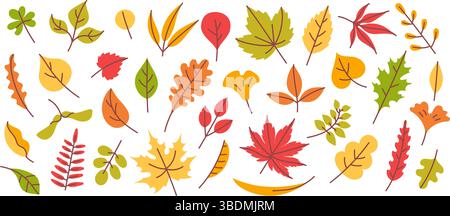 Foglie d'autunno. Foglie di stagione autunnale, giallo, arancio e rosso, vegetazione verde, vegetazione boschiva disegnata a mano, elementi vegetali. Acero, quercia e betulla, salice Illustrazione Vettoriale