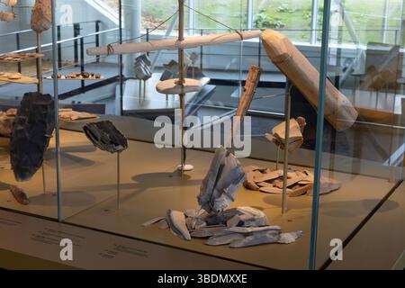 Nel nuovo museo Fossilea, nella regione francese del Beaujolais, le mostre spiegano come i primi umani hanno realizzato gli strumenti utilizzando le rocce e il legno disponibili. Foto Stock