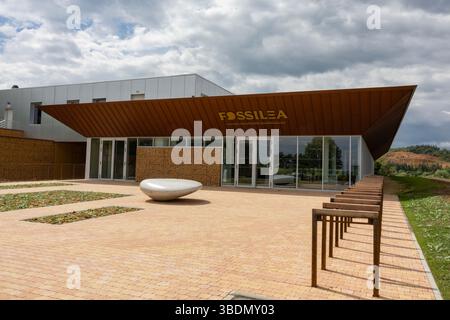 Il museo Fossilea, inaugurato di recente, nella regione francese del Beaujolais, presenta un pannello delle famose pietre dorate della regione sulla sua facciata. Foto Stock