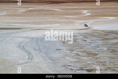 Gita su strada nella natura incredibile della riserva nazionale di fauna andina di Eduardo Abaroa, provincia di Sur Lipez, dipartimento di Potosi della Bolivia, Sud America Foto Stock
