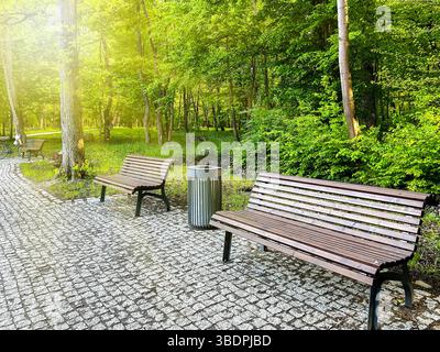 Panchine in legno lungo un sentiero acciottolato in un lussureggiante parco verde, circondate da alberi e luce del sole, che creano sereni servizi urbani per il relax e la comunita' Foto Stock