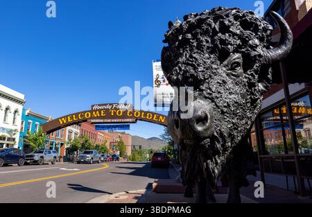 Bronze Bison intitolato "The Monarch" dell'artista Buck McCain nel centro di Golden, Colorado, Stati Uniti Foto Stock