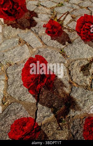 Immagine astratta realizzata con sfondo in pietra di fiori rossi. Composizione di concept creativi con spazio di copia. Foto Stock