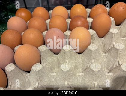 Le uova fresche di diversi colori sono disposte ordinatamente su una scatola di cartone in un mercato. Le sfumature naturali vanno dalla crema chiara al marrone scuro, mostrando prodotti freschi della fattoria Foto Stock