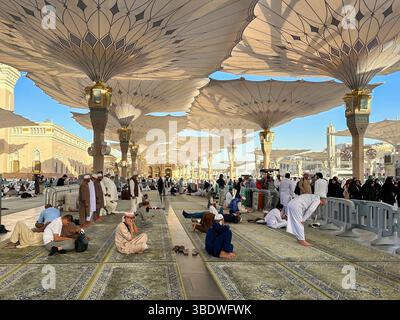 Uomini pellegrini che pregano sotto gli ombrelli alla Moschea del Profeta. Medina, Arabia Saudita 1 dicembre 2024 Foto Stock