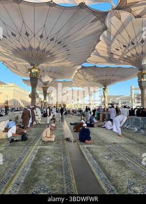 Uomini pellegrini che pregano sotto gli ombrelli alla Moschea del Profeta. Medina, Arabia Saudita 1 dicembre 2024 Foto Stock