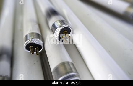 Dettaglio delle lampadine rotte e danneggiate, riciclaggio Foto Stock
