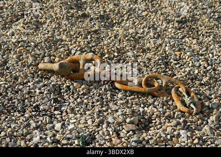 Catena arrugginita adagiata sulla superficie di ghiaia evidenziando il decadimento e il passaggio del tempo. Itchenor, Regno Unito Foto Stock