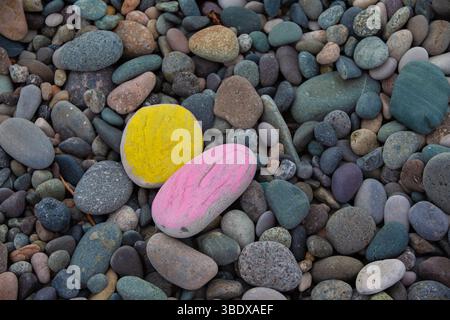 Due pietre dai colori vivaci su uno sfondo di ciottoli di mare grigi. Concetto di creatività. Foto Stock