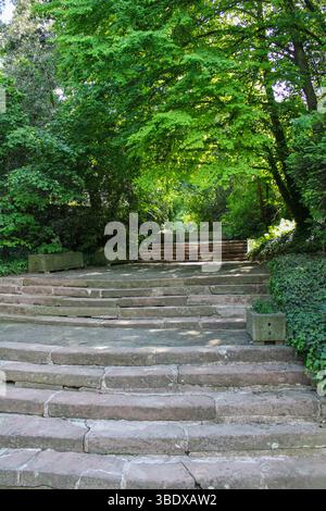 Scale del parco illuminate dal sole incorniciate da piante di edera e boschi Foto Stock