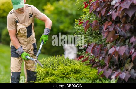 Un giardiniere sta rifilando con cura il verde in un giardino ben tenuto. La luce del sole illumina le vivaci piante e i fiori che lo circondano. Foto Stock