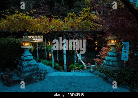 Fujinomiya, Giappone - 11 dicembre 2023: Una tranquilla piscina circondata da tradizionali lanterne in pietra e lussureggiante vegetazione al Santuario Fujisan Hongu Sengen Taisha in Foto Stock