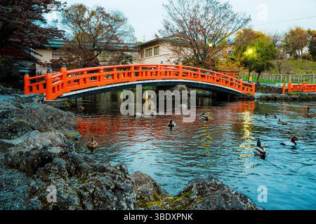 Fujinomiya, Giappone - 11 dicembre 2023: Una tranquilla piscina circondata da tradizionali lanterne in pietra e lussureggiante vegetazione al Santuario Fujisan Hongu Sengen Taisha in Foto Stock