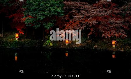 Fujinomiya, Giappone - 11 dicembre 2023: Una tranquilla piscina circondata da tradizionali lanterne in pietra e lussureggiante vegetazione al Santuario Fujisan Hongu Sengen Taisha in Foto Stock