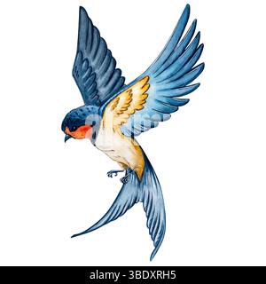 Acquerello Inghiottire illustrazione uccello sfondo bianco isolato Foto Stock