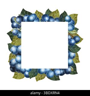 Cornice floreale acquerello con mirtilli Foto Stock