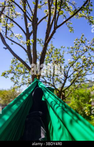 Amaca verde in tela appesa sotto i meli primaverili con fiori bianchi, con piedi maschili con calze nere, sfondo prospettico Foto Stock