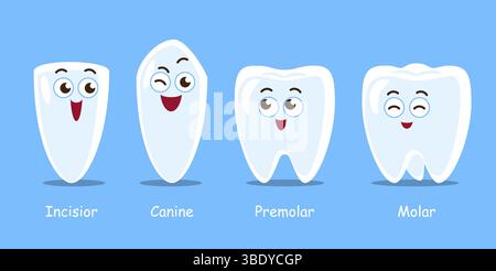 Tipi di denti umani . Illustrazione dei personaggi dei cartoni animati dentali . Vettore . Illustrazione Vettoriale