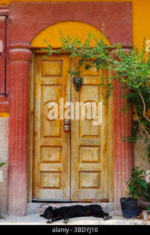 Atontonilco, Messico - 29 maggio 2016: Un cane dorme pacificamente davanti a una porta colorata, cercando ombra e riposo dal sole messicano. Foto Stock