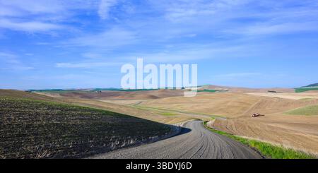 La strada sterrata attraversa i terreni agricoli della regione di Palouse in primavera Foto Stock
