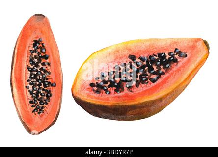 Papaya acquerello due mezze frutti con semi, illustrazione dolce disegnata a mano vista dall'alto isolata su sfondo bianco Foto Stock