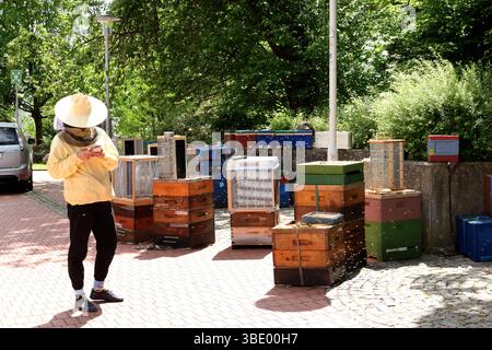 Bienen Besamungsaktion an der Hochschule Mittweida 24.05.2025, Mittweida, Hochschule Mittweida, Samstag und Sonntag Findet eine Besamungsaktion für Bienen an der Hochschule Mittweida statt. Sins und Zweck ist es Bienen zu züchten die gegen die Varroamilbe, die Weltweit für das sterben etlicher Bienenvölker verantwortlich ist, peccato resistente. Dafür versammelten sich heute und morgen Imker aus ganz Deutschland an der Hochschule Mittweida. Dabei ist das Vorgehen sehr Komplex. Zum einen müssen die Bienenkönigin sowie die Drohnen denen Sperma entnommen wird Reif sein und zum anderen ist für die Pro Foto Stock