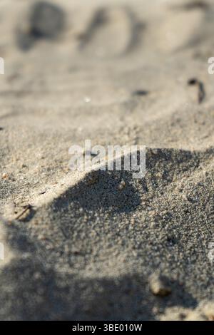 Primo piano di grani di sabbia con luce naturale e ombre morbide. Superficie ruvida ideale per sfondi naturali, scene di spiaggia o design astratto. Foto Stock