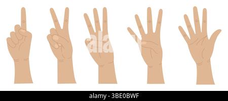 Le mani contano da uno a cinque. Gesti delle mani. Contare le dita. Illustrazione vettoriale. Illustrazione Vettoriale