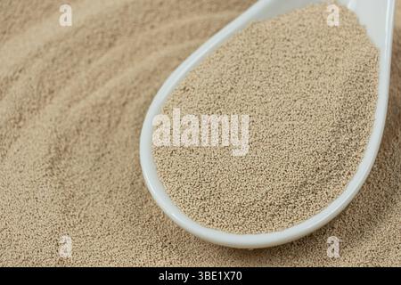 Cucchiaio di primo piano di lievito secco granulare Foto Stock