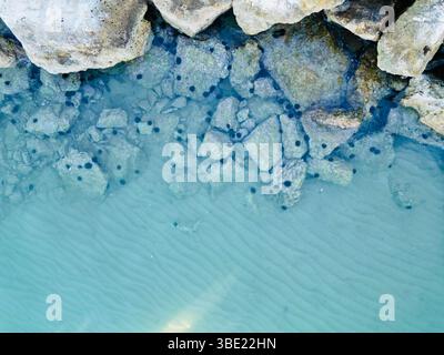 Vista dei droni sulle enormi rocce marine ricoperte di ricci di mare Foto Stock