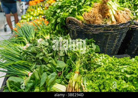 Erbe verdi fresche e verdure a foglia esposte al bancone del supermercato, tra cui coriandolo, cipolle verdi, lattuga e basilico. Prodotti biologici sani Foto Stock