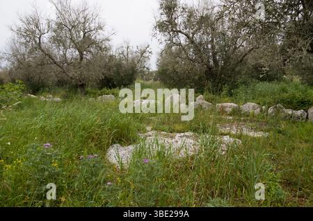 Cerchio di pietre al sito preistorico li scusi a Lecce, Italia Foto Stock