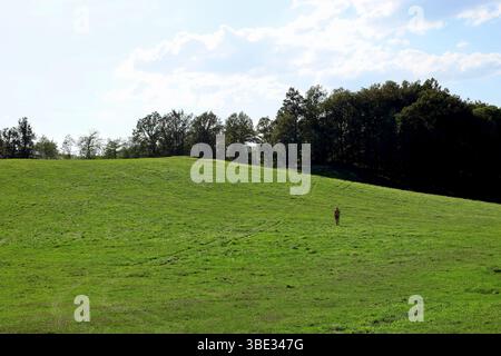Uomo solitario sul prato verde degli altopiani polacchi in un giorno d'estate Foto Stock