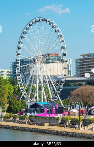 Australia, Queensland, Brisbane, Ferries Wheel Foto Stock