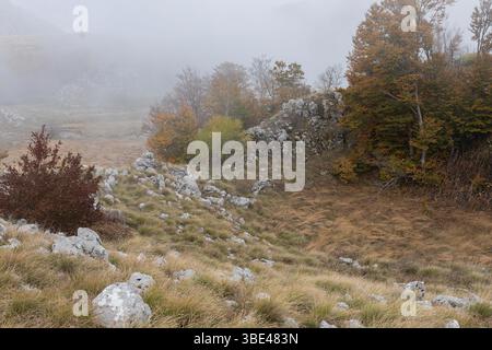 Foresta autunnale colorata con pendii rocciosi e fitta nebbia su colline lontane Foto Stock